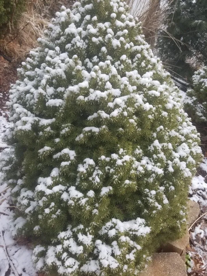20190331_134030.jpg