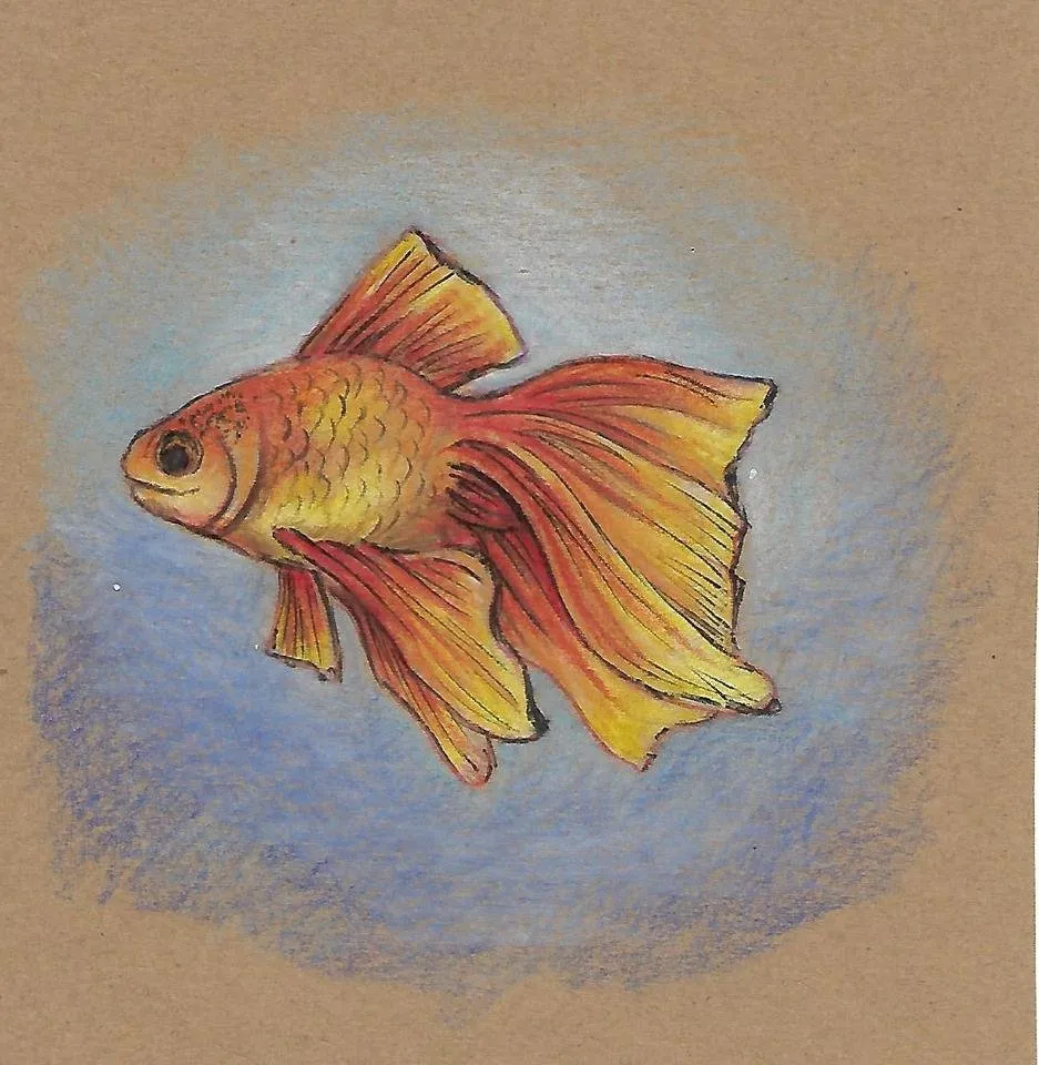 Scan_0009.jpg
