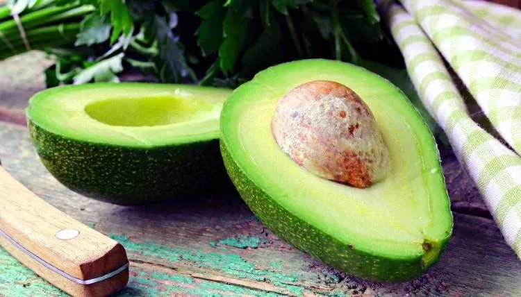 Anatomía-del-Aguacate-Palta.jpg