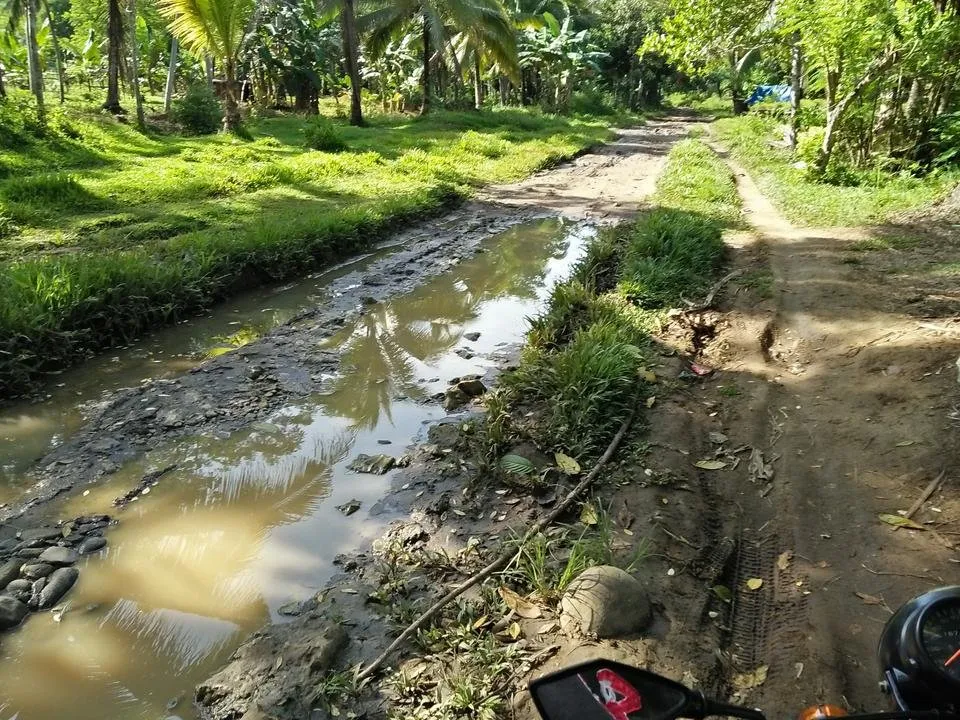 IMG20180718082731.jpg