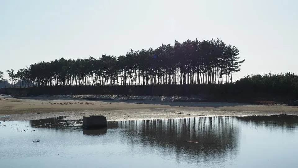 PB020069.JPG
