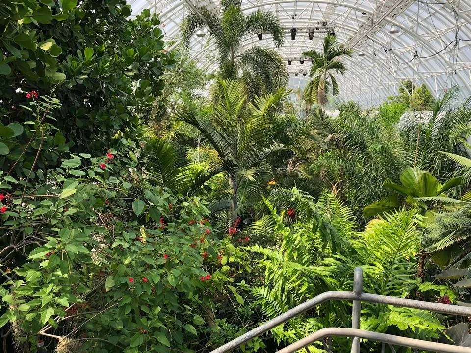 MyriadGarden2.jpg