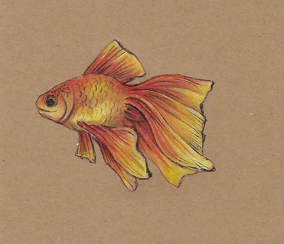 Scan_0007.jpg