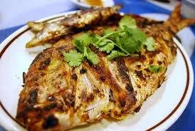 fish 1.jpg
