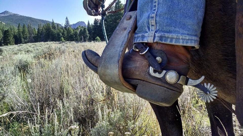 cowboy-2243027_1280.jpg