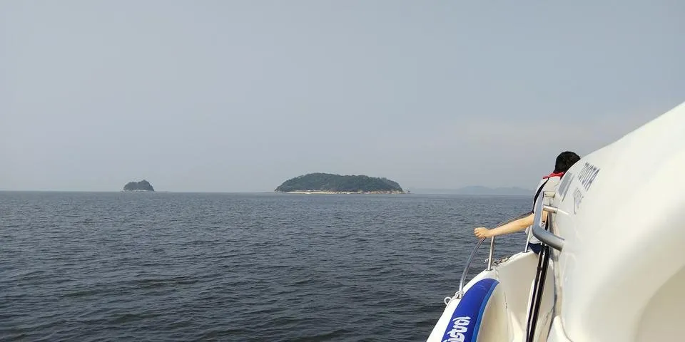 DSC_1350.JPG