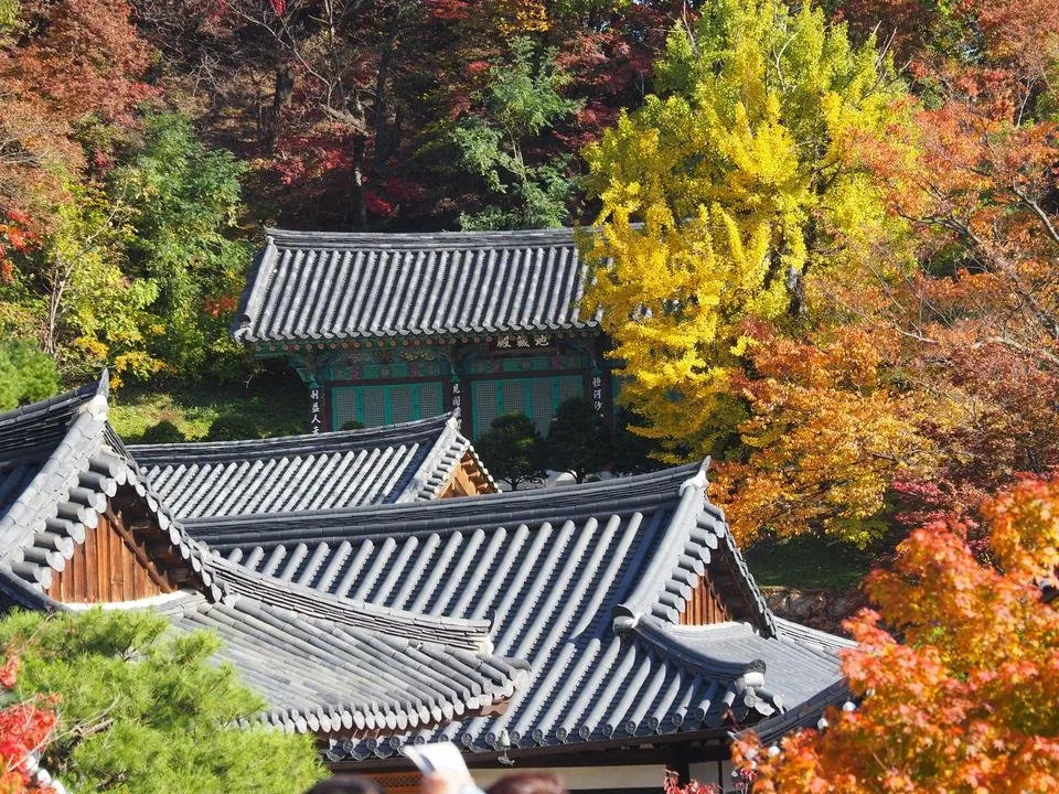 PA210283.JPG