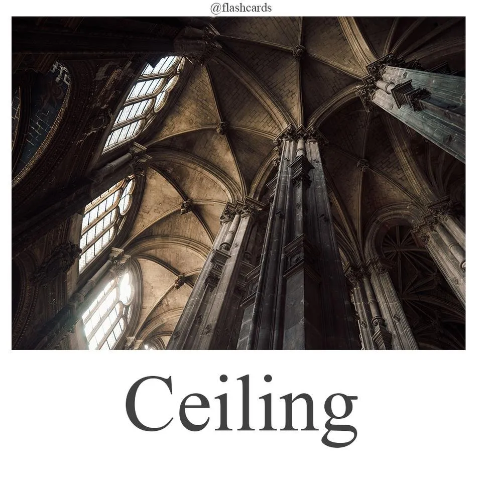 Ceiling.jpg