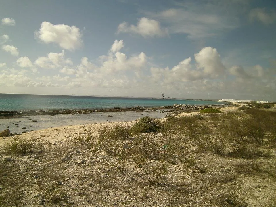 PICT0807.JPG