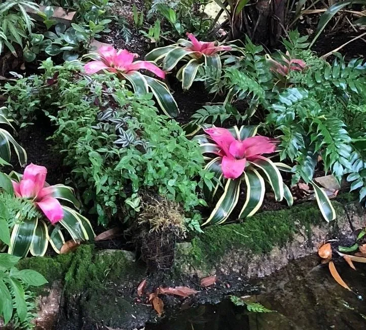 Flowers1 (2).jpg