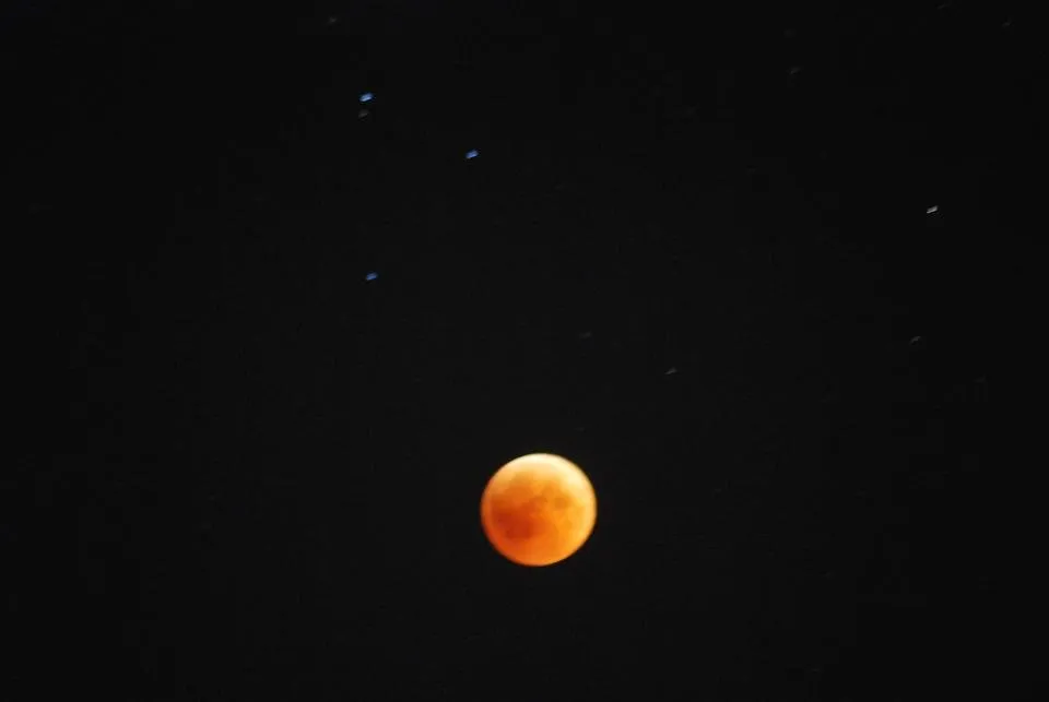 DSC_0883.JPG