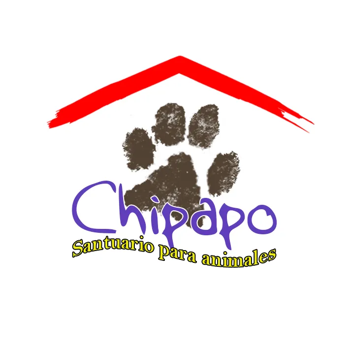 Chipapo Logo.png