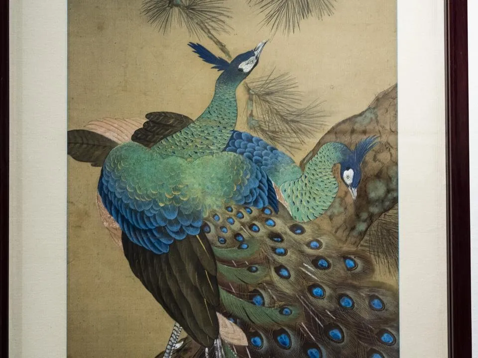 정찬영3.JPG