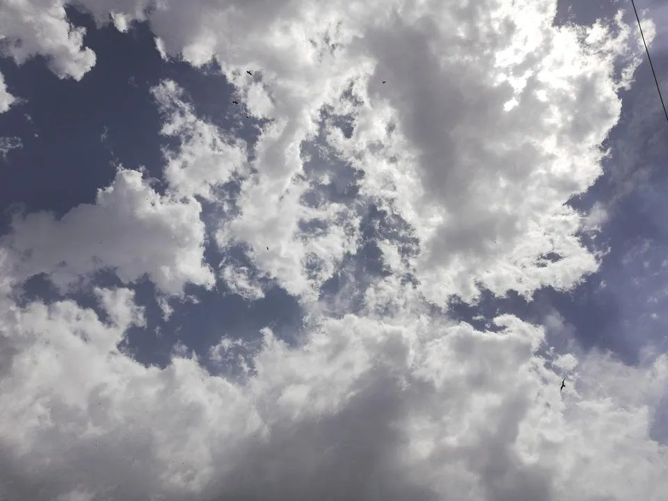 IMG_20180620_104406.jpg