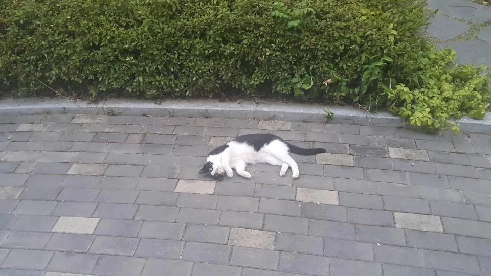 KakaoTalk_20180803_211641595.jpg