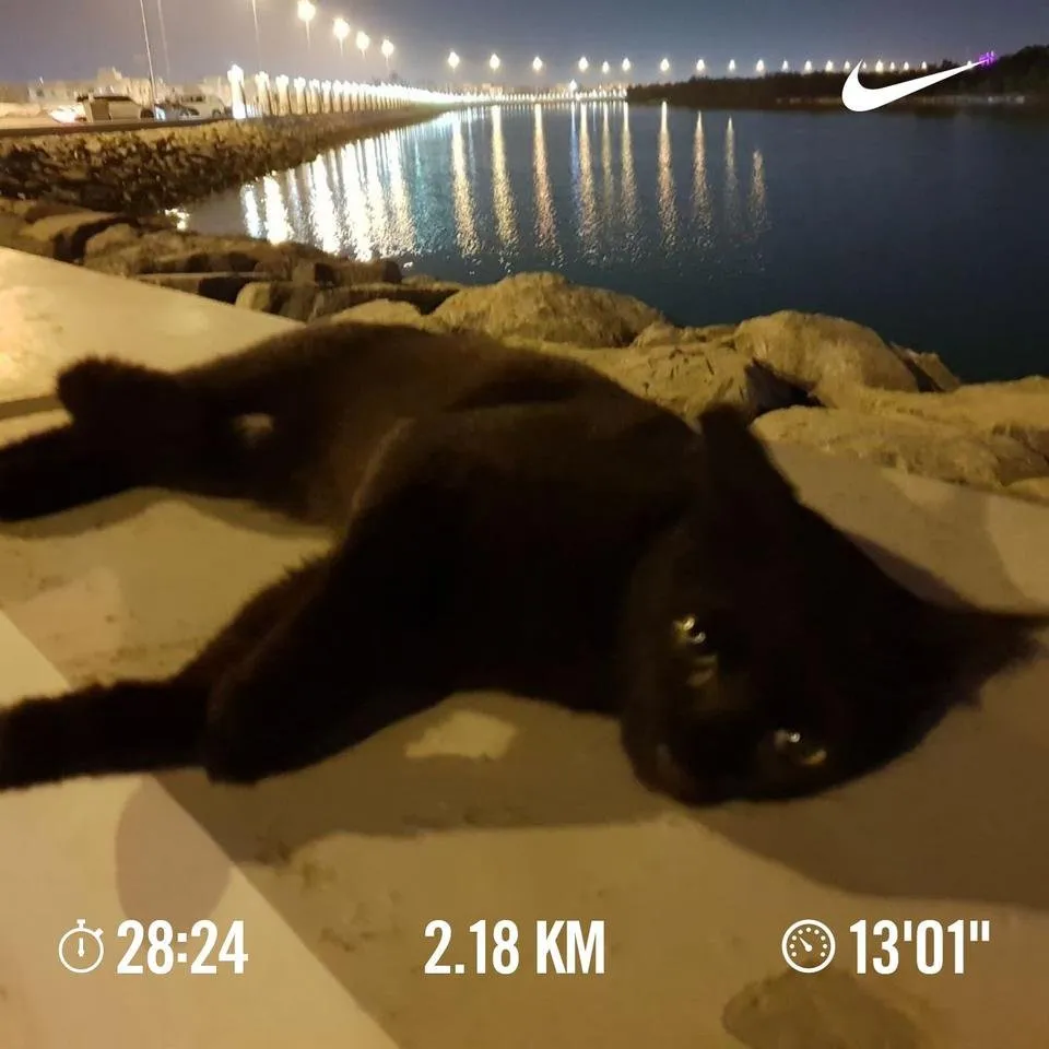 KakaoTalk_Photo_2018-09-28-07-32-43.jpeg
