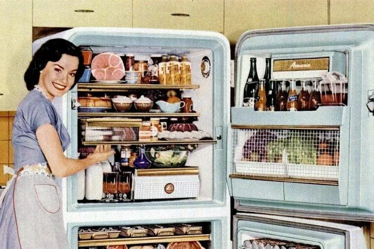 How-to-be-a-perfect-50s-housewife-Love-your-refrigerator-750x500.jpg