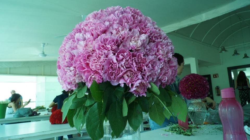 DSC00552.JPG