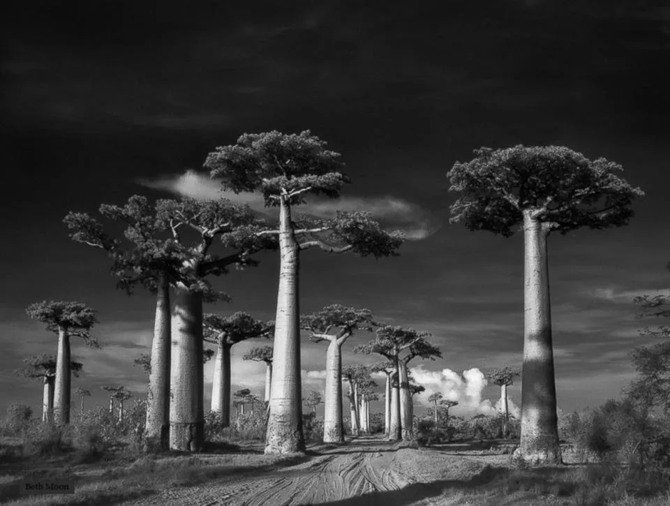 beth-moon-02.jpg
