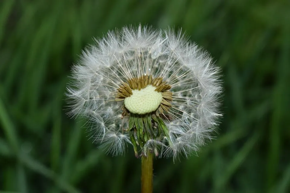 DSC_0414.jpg