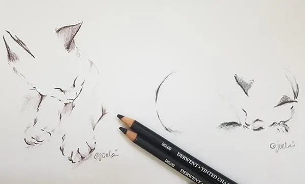 Cats04.jpg