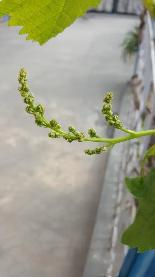 20180324_151003.jpg