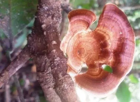 20180527_220508.jpg