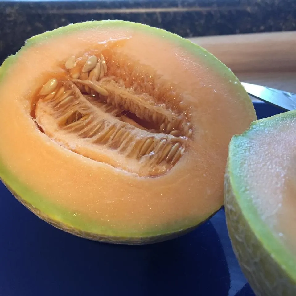 Cantaloupe 4.JPG