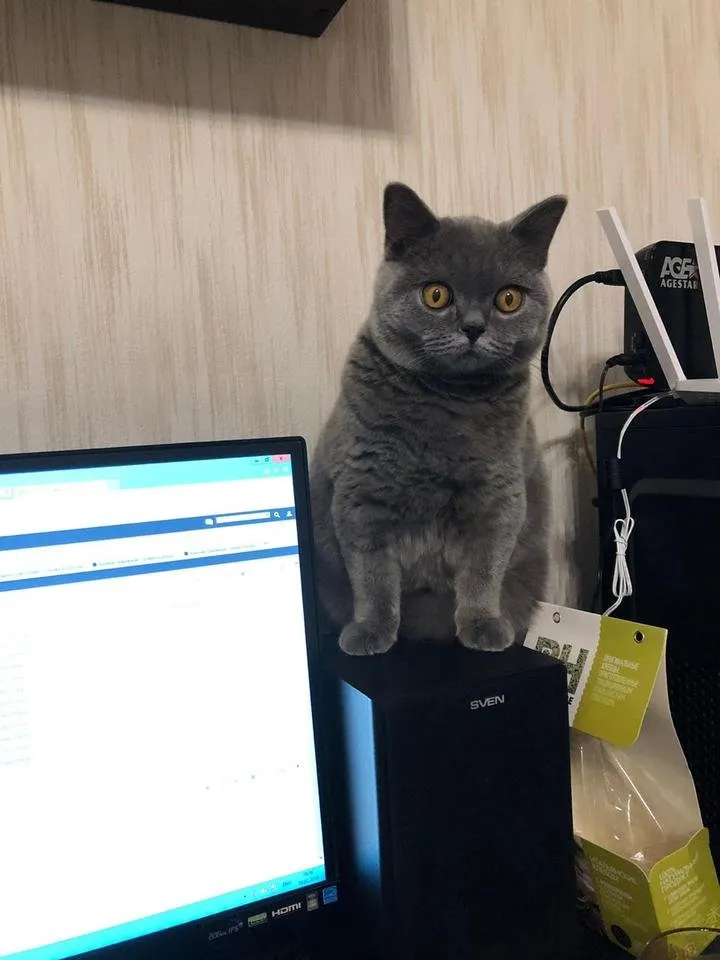 IMG-20190218-WA0018.jpg
