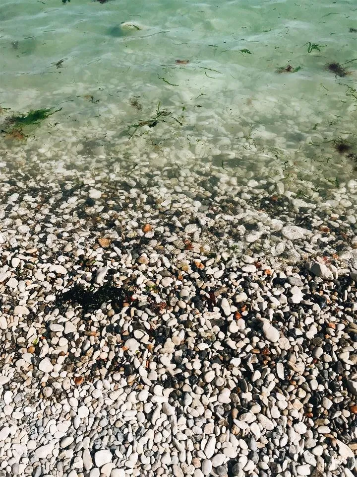 JPEG image-ECE5B2C3131C-5.jpeg