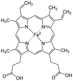 543px-Heme_b.svg.png
