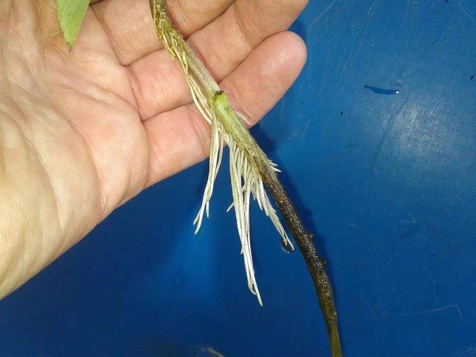 20190130_140332.jpg