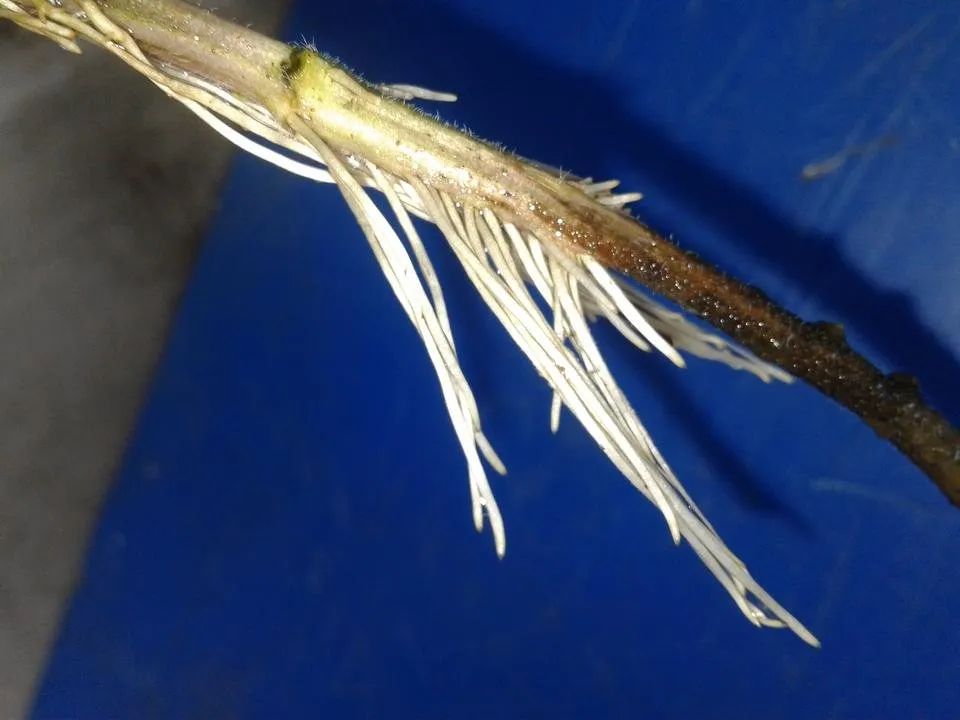 20190130_140317.jpg