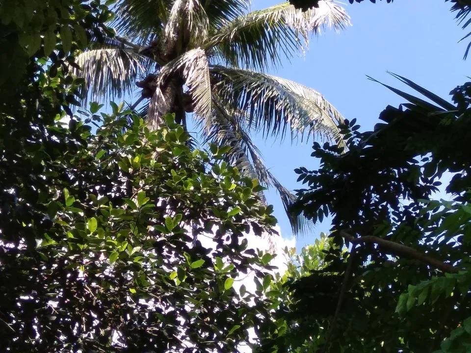 IMG_20180720_142851.jpg