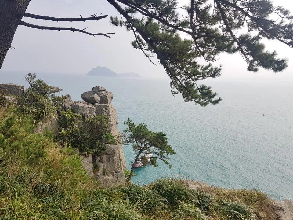 20191005_142633.jpg