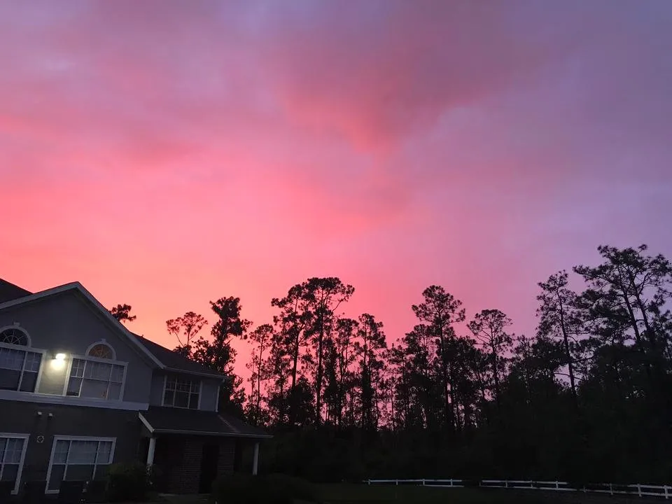 Cotton Candy Skys.JPG