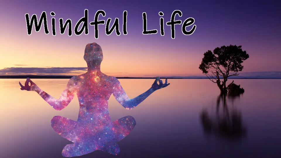Mindful Life.png