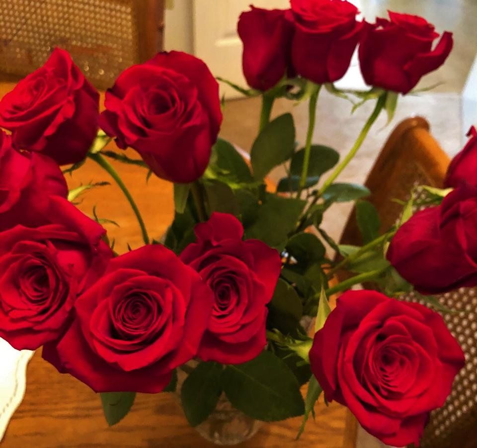 RedRose1.jpg