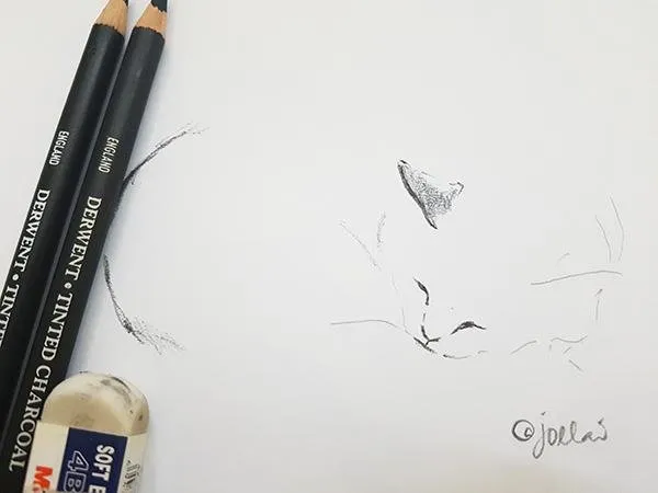 Cats03a.jpg