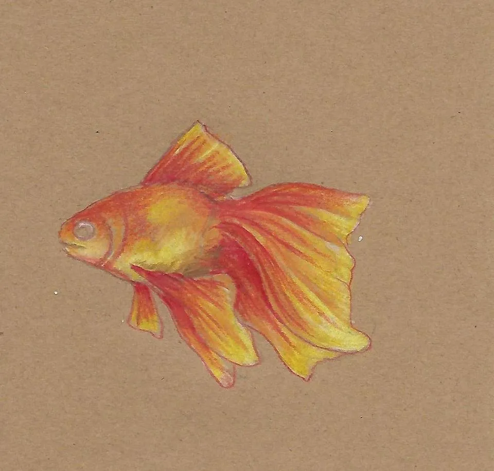 Scan_0005.jpg