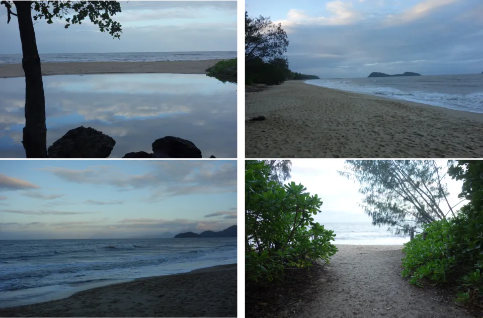 The Beach.png