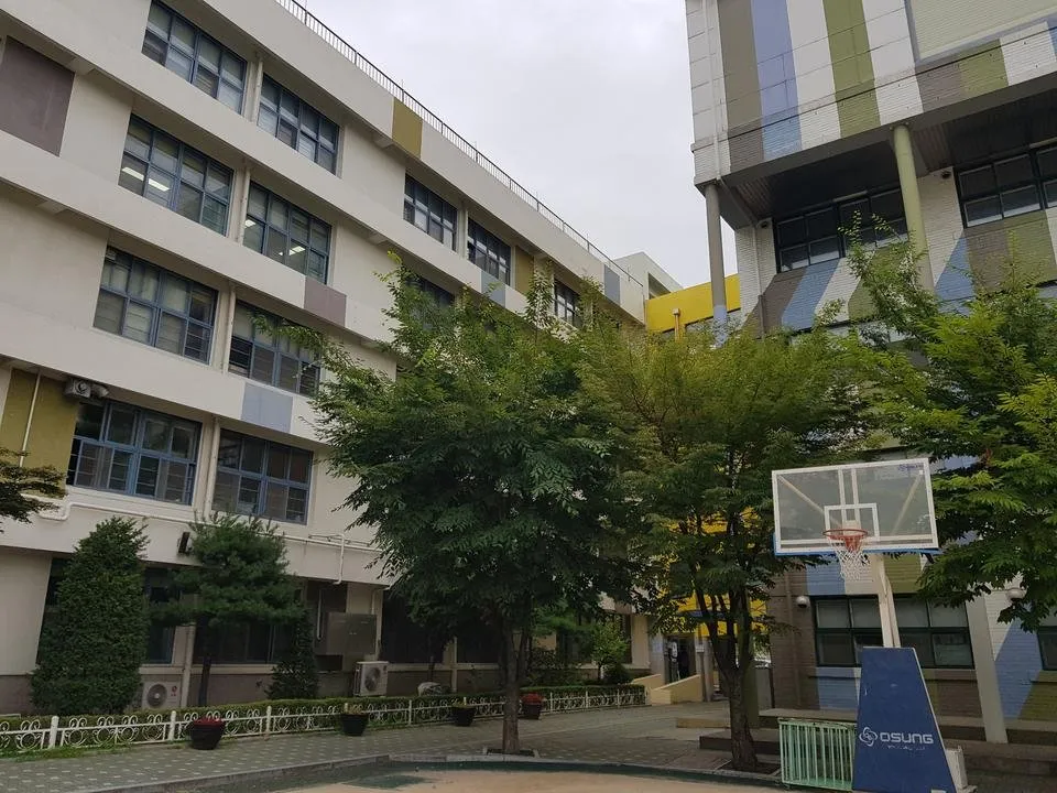 20190720_080712.jpg