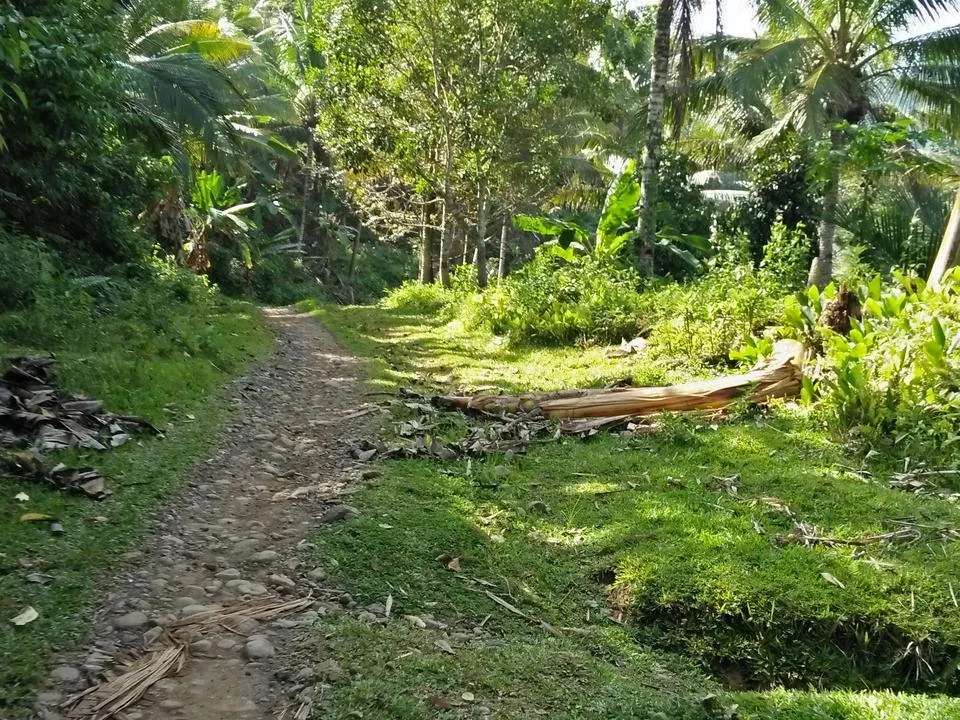 IMG20180718084145.jpg