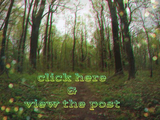 7a55eac0-5962-42aa-be7d-0d4c67bc1a5a.gif
