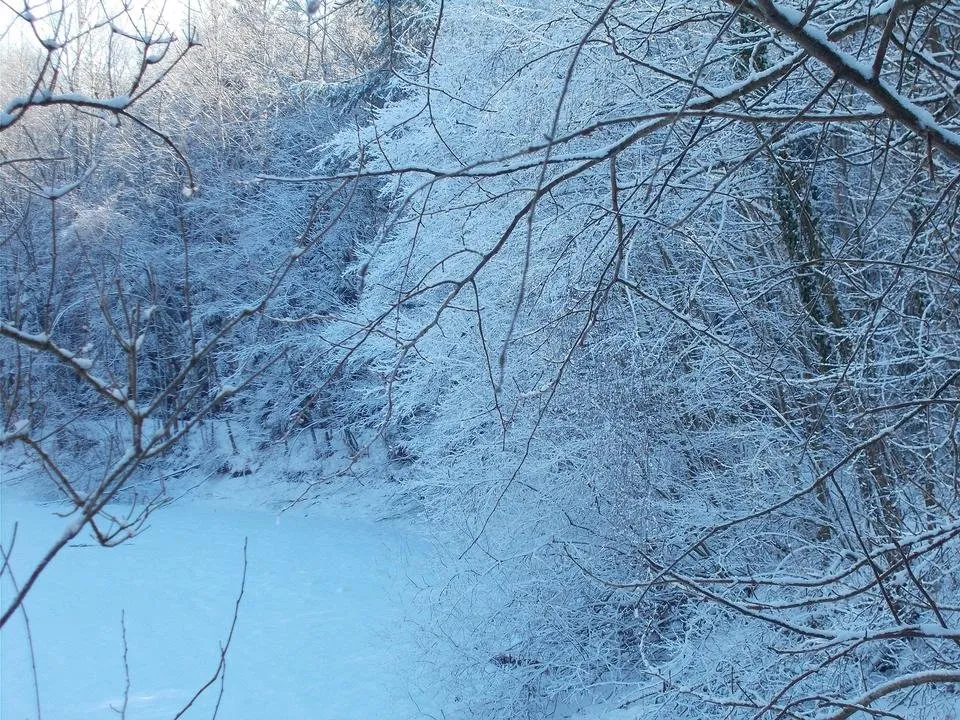 DSCN3168.JPG