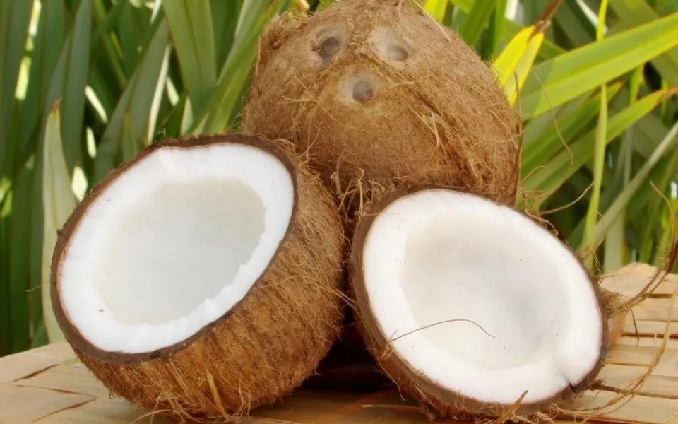 coconut 444.jpg
