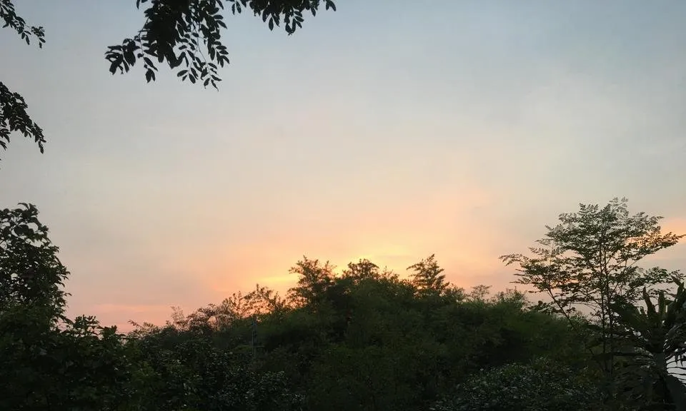 A116254F-C989-46D7-8112-B945CAE9748D.jpeg