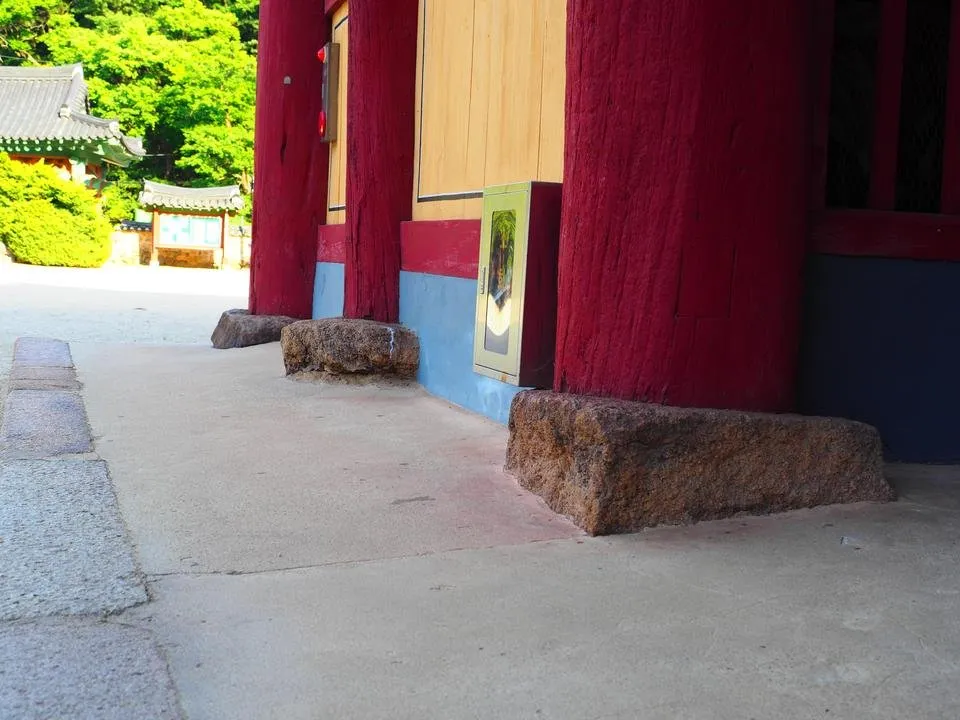 P7230661.JPG