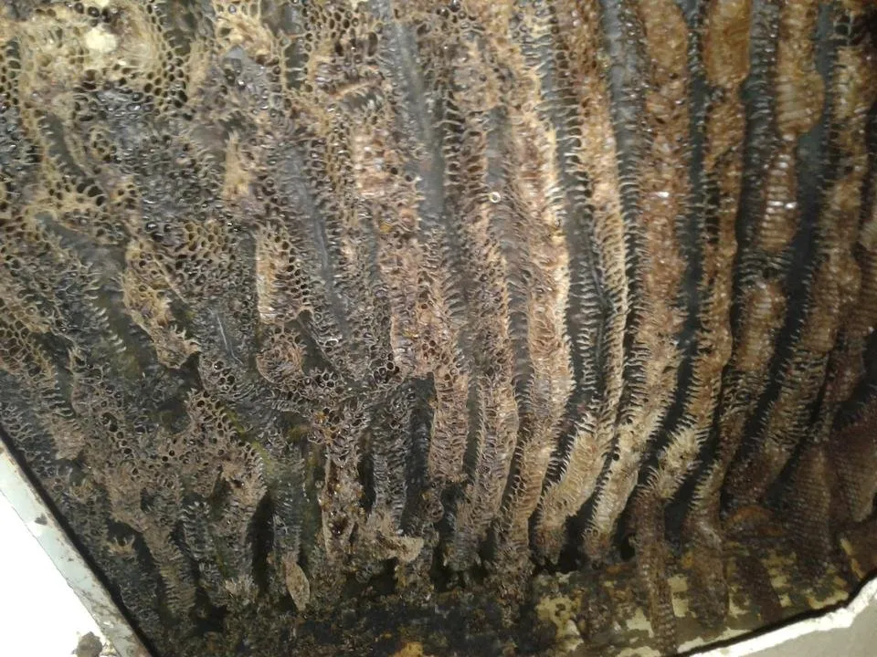 20190318_203455.jpg