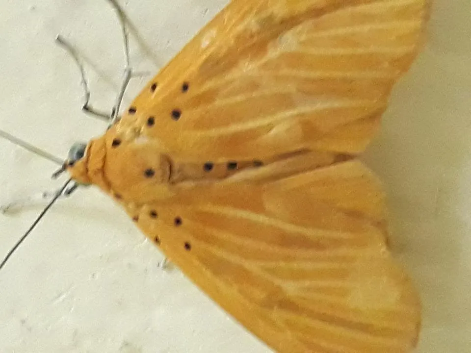 20180514_003507.jpg